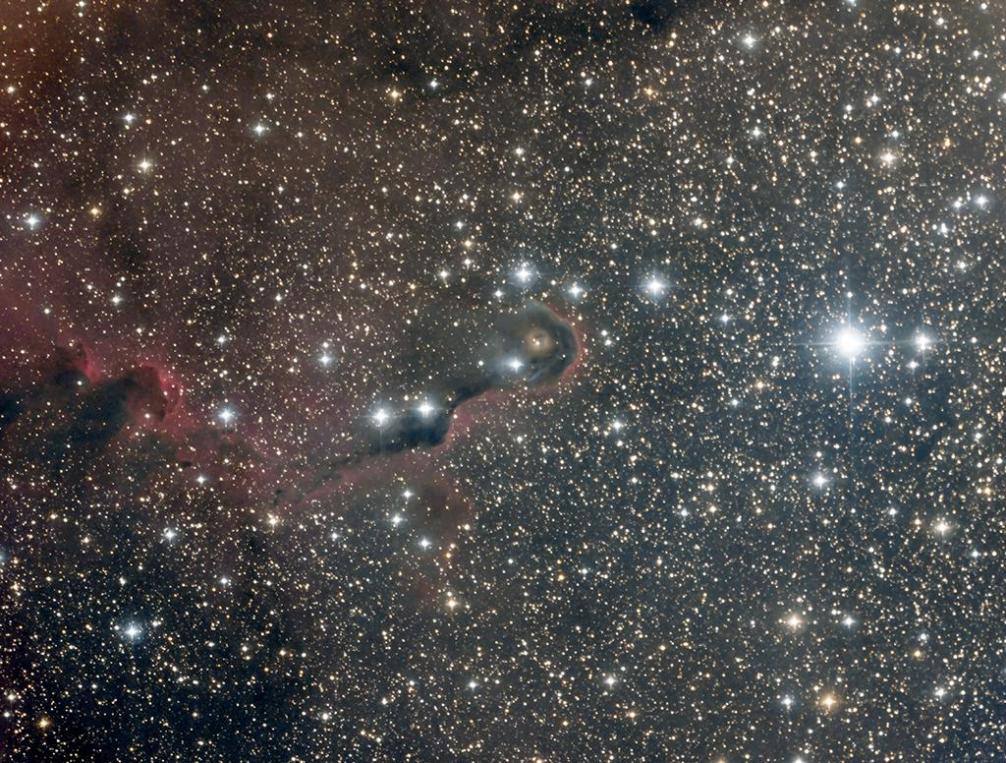 Ic1396 compressee