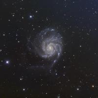 M101 et  la super nova - 2023